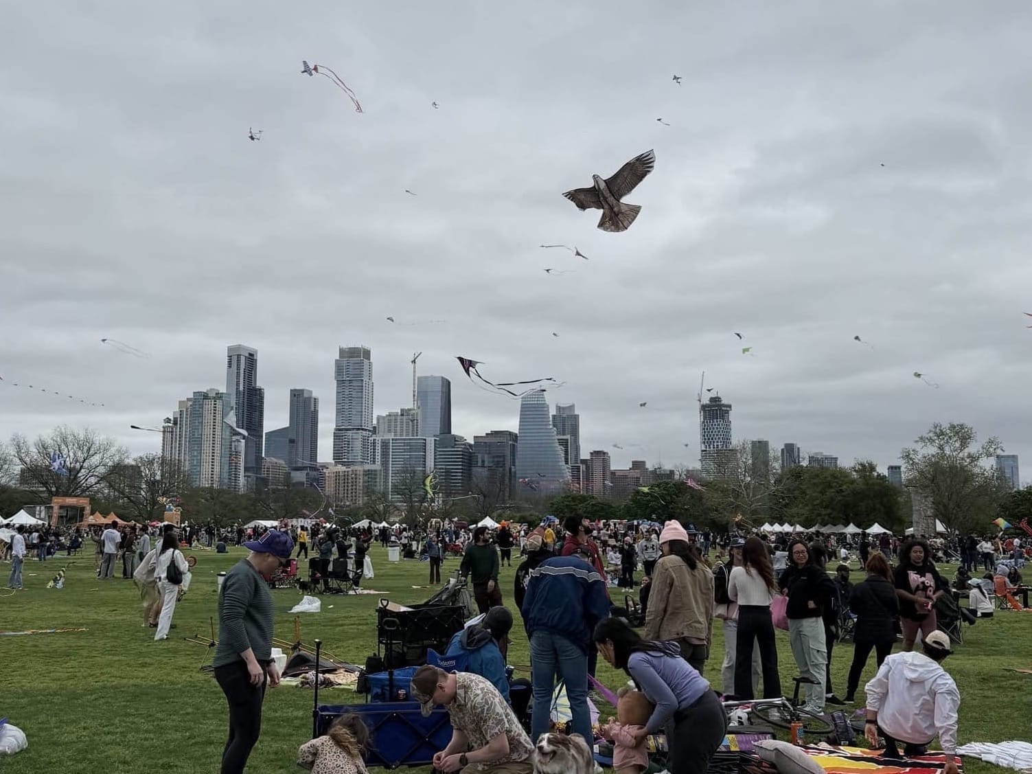 Austin ABC Zilker Kite Festival